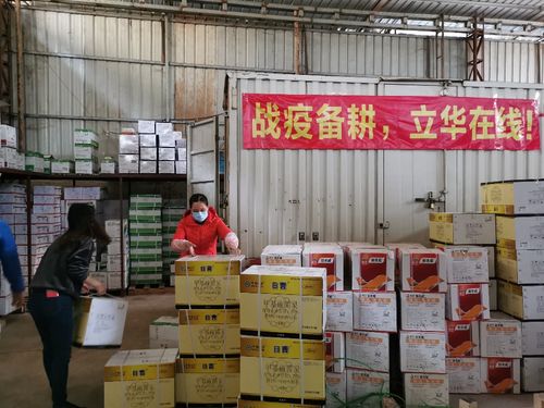 中农立华广东公司积极向市场供应农药,防治柚子春季病害